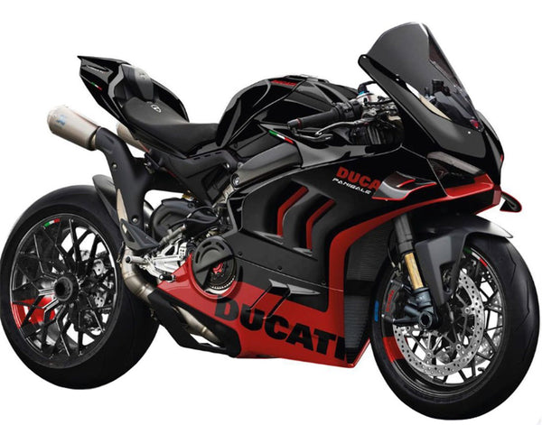 2022-2024 Ducati Panigale V4/V4S 2023-2024 V4SP/V4R Ruiskutussuojasarjan runko