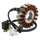 2008-2013 Kymco Xciting 300i R (T72001) 18 Pins Magneto Generator Stator (D406) 31120-LDF2-910 00169230