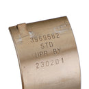 1989-2002 Cummins Standard STD Dodge 5.9 12/24V Pleuellager Hauptlager 3969562 3802070