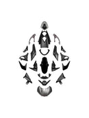 Kåpesett for Street Triple 765 R/RS (2020–2022)