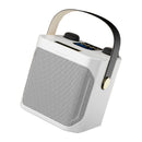 Drahtloser Bluetooth-Lautsprecher mit Doppelmikrofon, Karaoke, tragbarer Karaoke-Lautsprecher für Zuhause