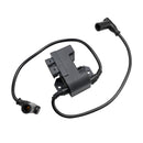 1998–2000 Polaris 600 RMK CDI Box Zünder 2201098 22011112 4060144