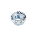 31100-41K00 für Suzuki DS250 DS250RL 2023-2025 Neuer Anlasser 9T