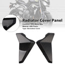 Sidepaneler for radiatoren til Street Triple 765 R/RS (2023–2025)