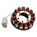 2009–2012 Yamaha YZF R1 RaceBase Generator-Stator-Regler-Gleichrichter-Dichtungssatz 14B-81410-00 1D7-81960-00