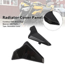 Sidepaneler for radiatoren til Street Triple 765 R/RS (2023–2025)