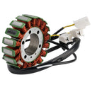 Statorgenerator 21003-0017 für Kawasaki Ninja ZX-12R (ZX1200-B3) aus dem Jahr 2004