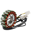Statorgenerator 21003-0017 für Kawasaki Ninja ZX-12R (ZX1200-B3) aus dem Jahr 2004