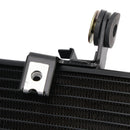 2020-2022 Triumph Street Triple 765 R Kühlerkühlung Motorkühler