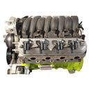 5,3 L LS Lkw Seite Bolzen Spule Klammern Montieren Ventil Abdeckung 19005218 D585 LSX Swap