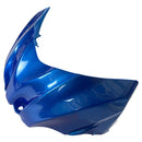 Verkleidungssatz aus ABS-Kunststoff für Suzuki GSXR1000 (2009–2016) K9