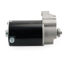 Anlasser für Briggs luftgekühlt horizontal 14 16 18 PS 393017 394674 394808 497596