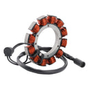 1999-2002 Buell X1 Lightning Lichtmaschinenstator 29967-89C