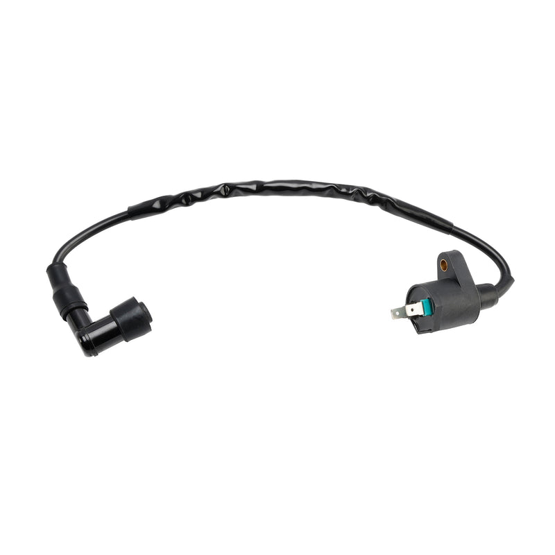 CDI-Box tenningsenhet egnet for adly ATV 150 Sport/Utility/Crossroad Kayo Fox 70 TTR-1110