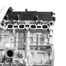 Brandneue G4FG 1.6L Motor Komplettmontage für Hyundai Solaris, Elantra und Kia Soul, Seltos