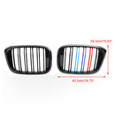 Par de rejillas tipo riñón M-Color 51138469959 adecuadas para BMW G01 X3 G02 X4 Gloss Black Generic