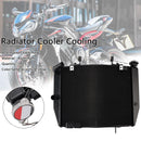 Radiador de refrigeración del radiador del motor para Street Triple 765 R RS 2020-2022