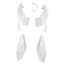 2014-2017 BMW S1000R Injection Waring Kit Bodywork Plastikabs ABS