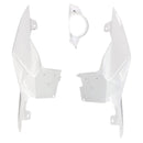 2014-2017 BMW S1000R Injection Waring Kit Bodywork Plastikabs ABS