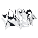 Kit de carenagem de injeção Kawasaki Ninja ZX-25R ZX-4R ZX-4RR 2019-2024