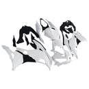 Kit de carenagem de injeção Kawasaki Ninja ZX-25R ZX-4R ZX-4RR 2019-2024
