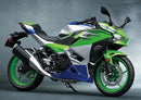 2024-2025 Kawasaki Ninja 500 Einspritzverkleidungssatz Karosserie ABS