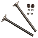 69-mm-Einlass-/Auslassventil-Kit für GY6 139QMB Moped 50cc 80cc Sunl Baja Taotao