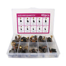 40Pcs Elektromotor Kohlebürsten 10 Größen Ersatz Reparatur Power Tool Teil