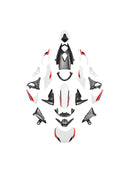 Kåpesett for Street Triple 765 R/RS (2020–2022)