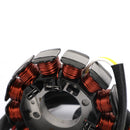 Lichtmaschine Stator für Yamaha WR450F WR 450 F 2003 2004 2005 2006 5TJ-81410-30