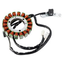 2003–2008 Yamaha XVS400 Drag Star Stator Generator Regler Dichtung 5KP-81410-00 5KP-81410-01