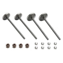 Pään imu- ja pakoventtiilien tiivisteet Sokkat Honda XR400R XR 400R 1996-2004