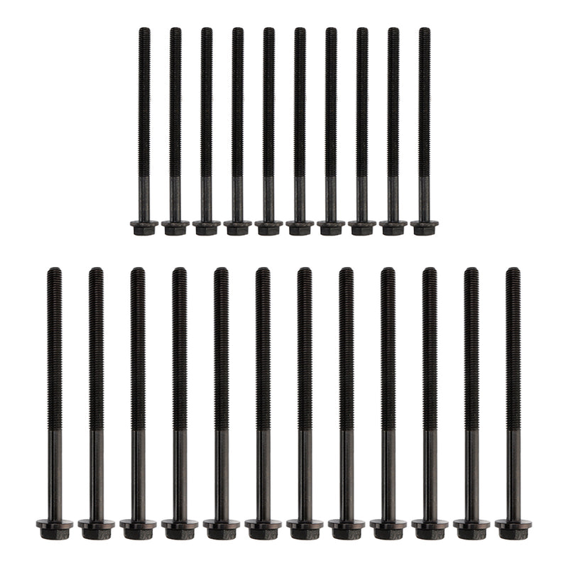 Ford Ranger P5AT mit 3,2-Liter-5-Zylinder-Turbodieselmotoren: P5AT 3,2-Liter-Motorüberholungssatz mit Steuerkettensatz