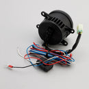 Auto Licht Ledtiving NEBEL DRL Gold Edition 90MM 6000K Für OSRAM