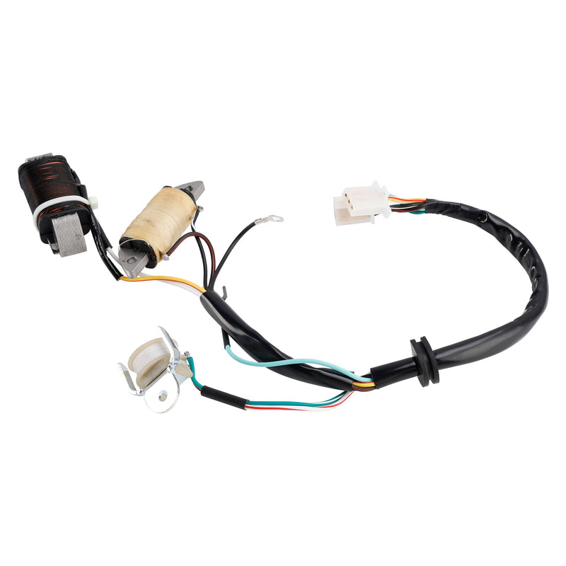 1987/1992/1993 Yamaha T80D Town Mate Ladespule & Lighting Coil 2MK-85560-M0 2ML-85560-M0