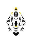 Kåpesett for Street Triple 765 R/RS (2020–2022)