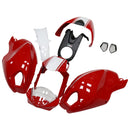 Fairing set (injection molding) for Ducati Monster 696, 796, 1100 S, EVO (all years)