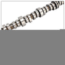 2015-2020 Cadillac Escalade ESV 6.2L Camshaft & AFM LS7 Lifters 12629512 L2281-16