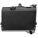 2019-2024 Yamaha Tenere 700 XTZ700 Kühler Kühlung Motorkühler