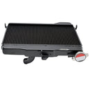 2019-2024 Yamaha Tenere 700 XTZ700 Kühler Kühlung Motorkühler