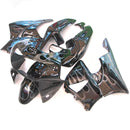Verkleidungssatz aus ABS-Kunststoff für Honda CBR900RR 919 (1998-1999)