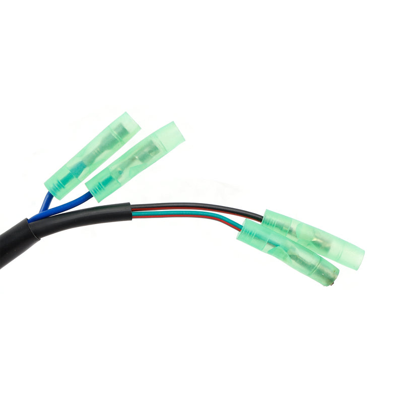 Statorgenerator für Yamaha F15 F20 15 PS 20 PS 4S 6AGK 6AH 2006-2024 6AH-85510-00