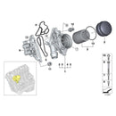 2015 BMW X1 X Line Sport Utility Enfriador de aceite de motor de 4 puertas Conjunto de filtro de aceite 11428637812