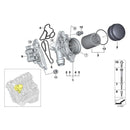 Motorölkühler Ölfilter Montage 11428637812 Für BMW 328i 335i 528i X3 Z4