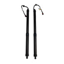 2013–2019 Hyundai Santa Fe Sport Utility 2-teilige elektrische Heckklappen-Hebevorrichtung