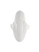 2020-2025 Street Triple 765 R RS Vorderradkotflügelverkleidung