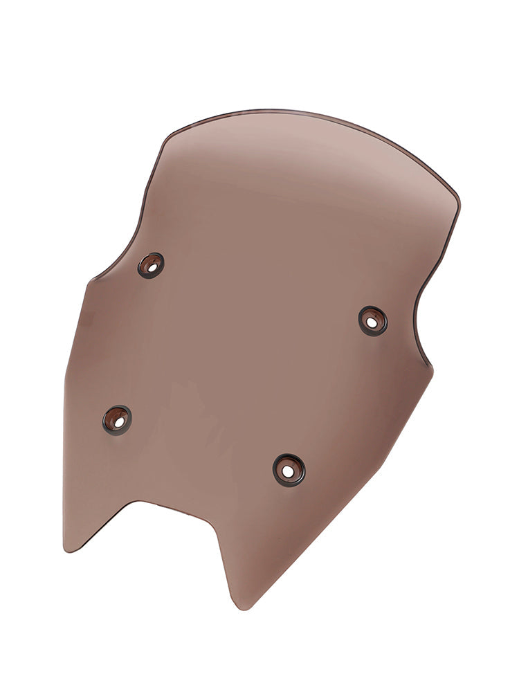 2019-2024 BMW R1250RS Windschutzscheibe Windschutz