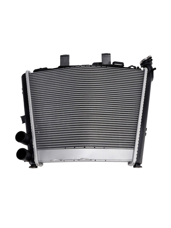 2021-2025 BMW S1000R Kühler Motorkühler