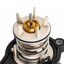 95810603202 Wesojej motorowy dla Porsche Cayenne Hybrid 11-18 110C