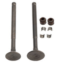 69-mm-Einlass-/Auslassventil-Kit für GY6 139QMB Moped 50cc 80cc Sunl Baja Taotao